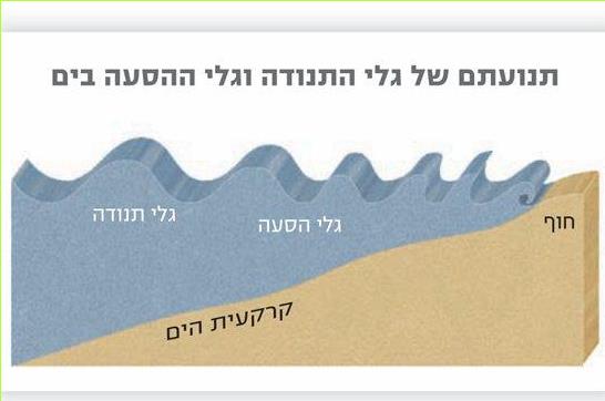 גלי הים